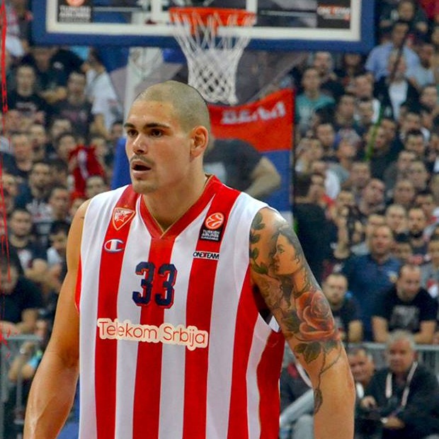 Zirbes Rex Zirbes Rex